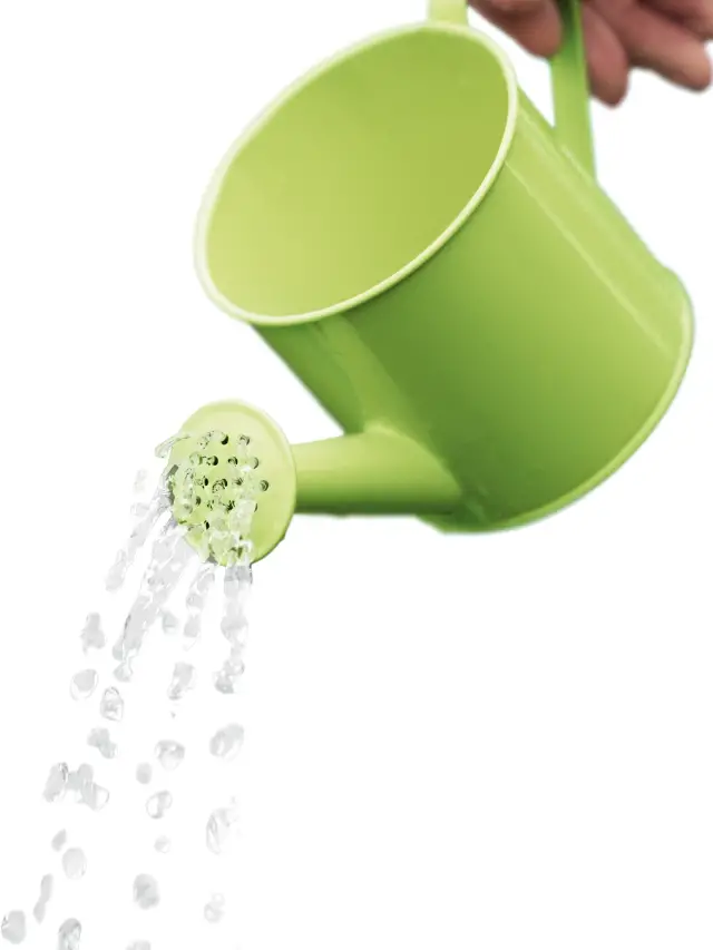 The Top 7 Watering Cans of 2022 to Spruce Up Your Garden