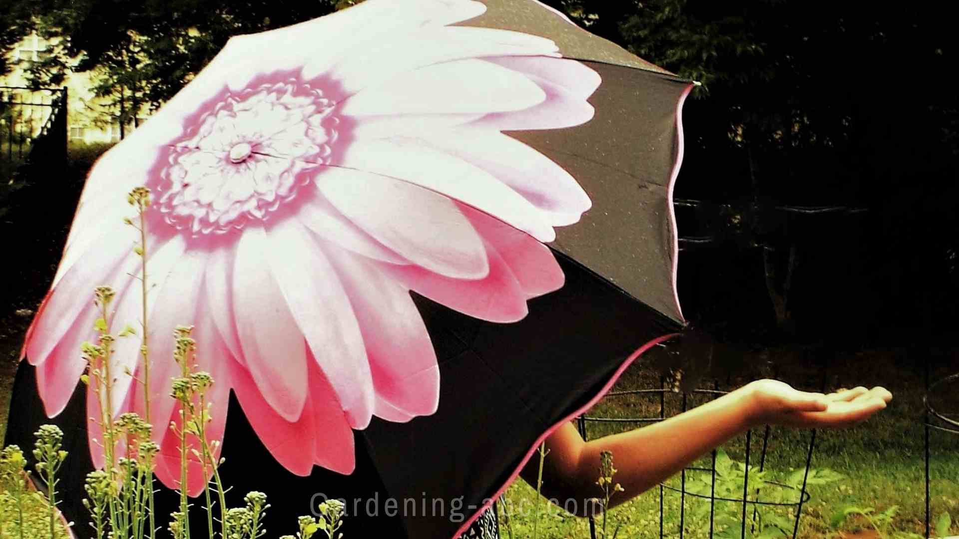 Gardening In The Rain Simple Ways To Protect Potted Plants From Heavy Rain