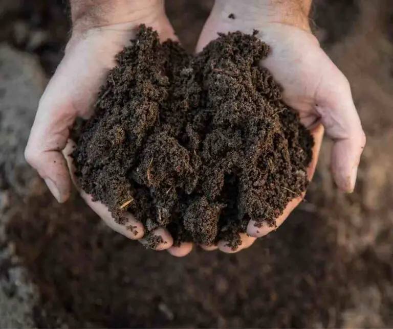 Is Soil A Heterogeneous Mixture or Homogeneous? Or Is It A Compound