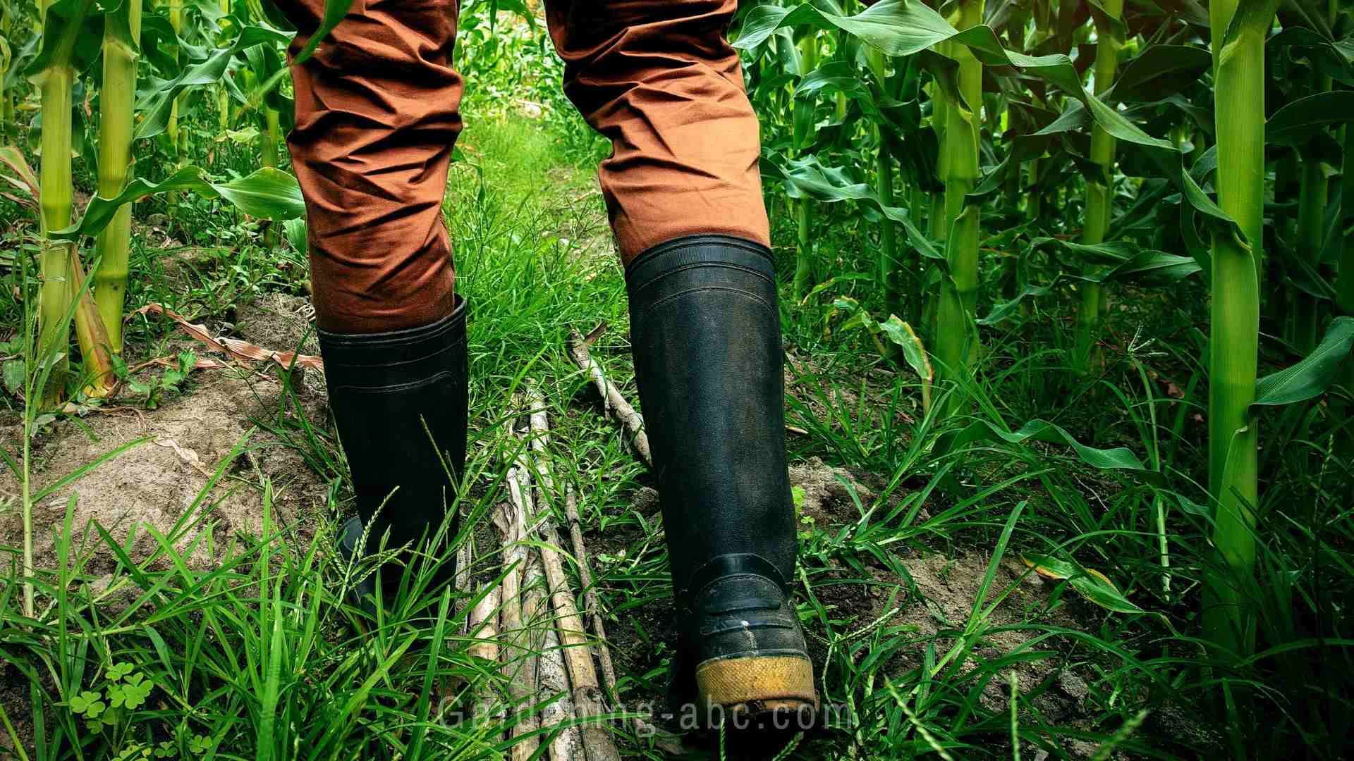 Are Hunter Boots Good For Gardening? Key Things You Should Look For In