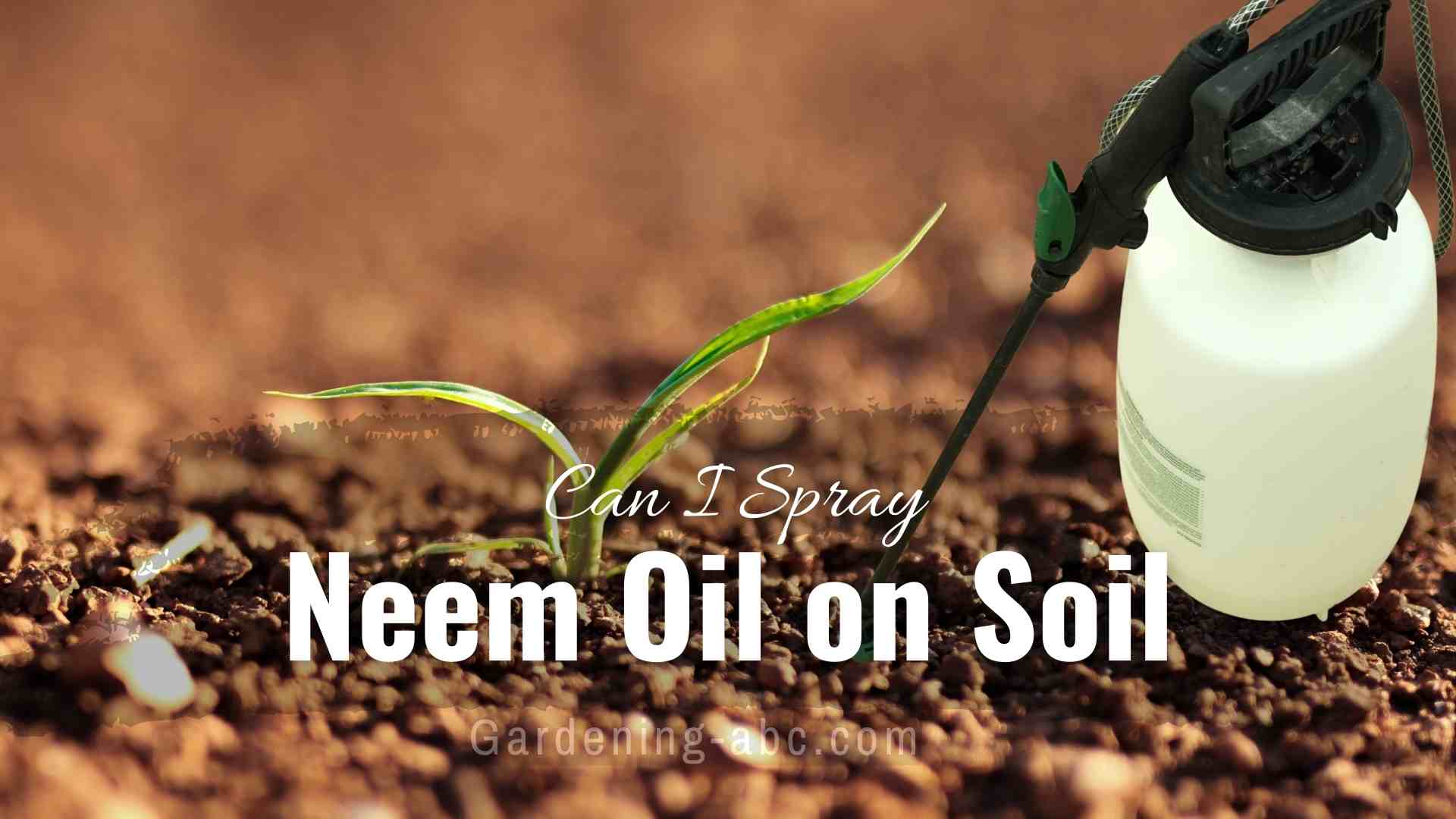 can I spray neem oil on soil