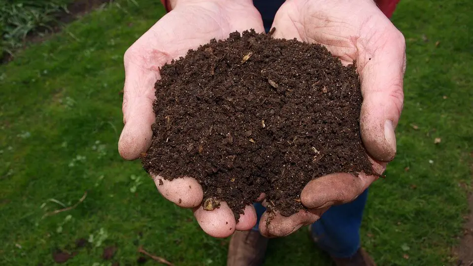 what is compost