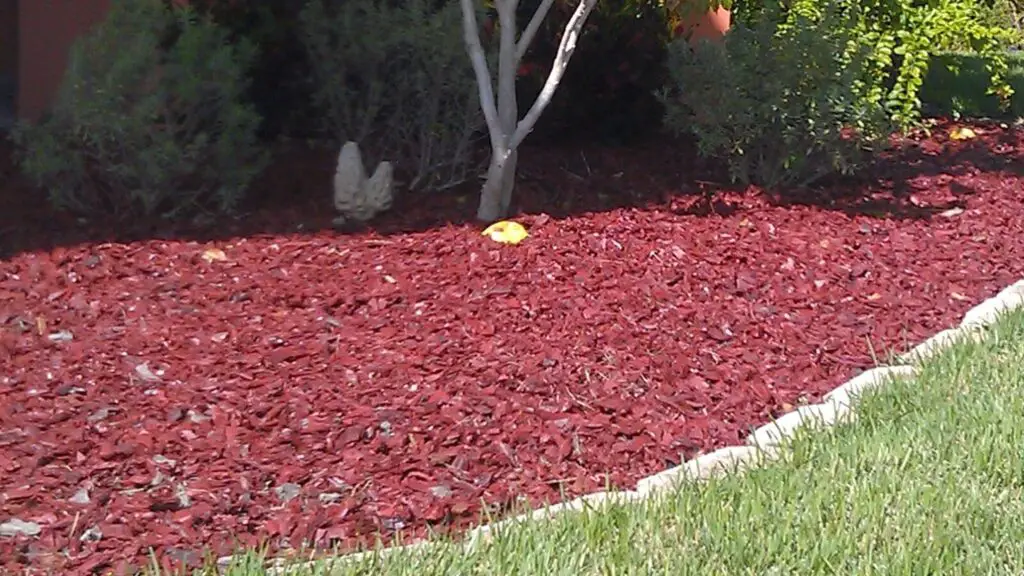 Compost Vs Mulch: Don't Get Confused. Here Is The Difference