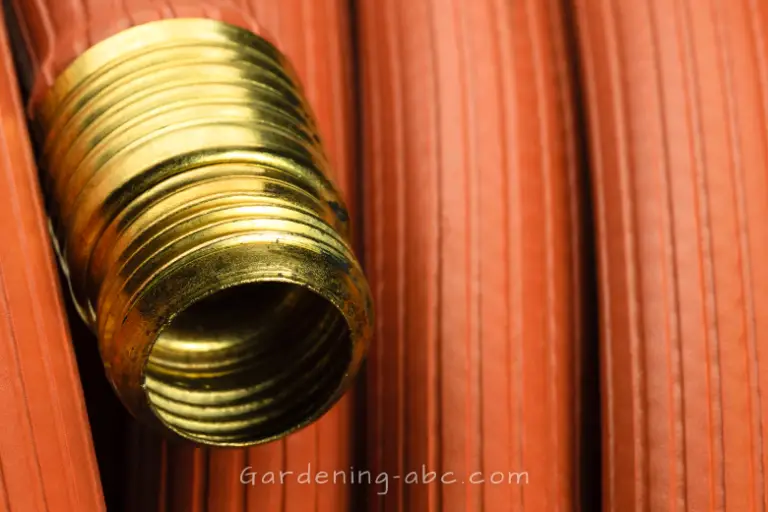 Top 5 Durable And Flexible Garden Hoses Of 2023 For HassleFree Watering