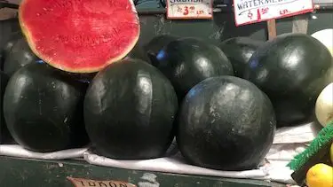 black diamond watermelons harvesting