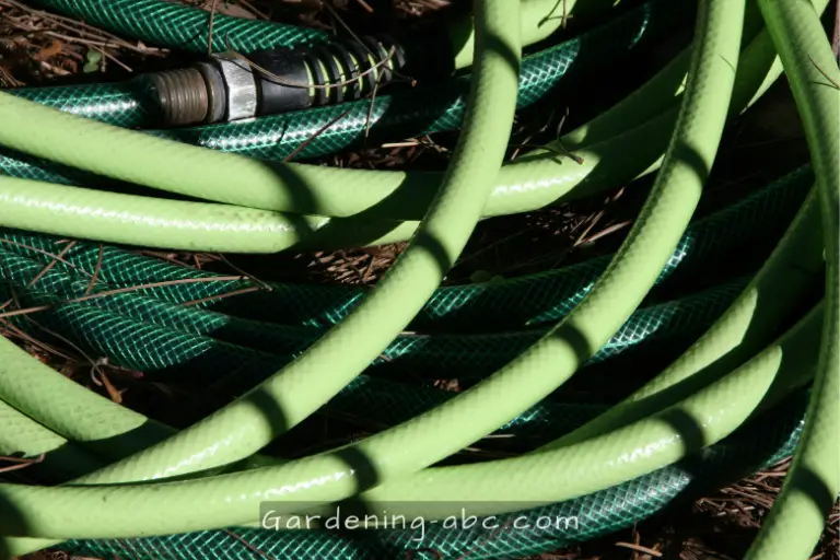 Top 5 Durable And Flexible Garden Hoses Of 2023 For HassleFree Watering