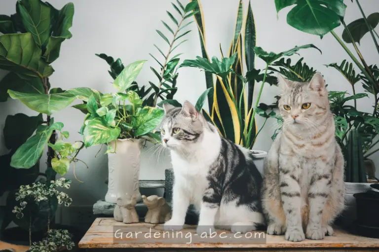 10 Toxic Houseplants Every Cat Owner Should Be Aware Of