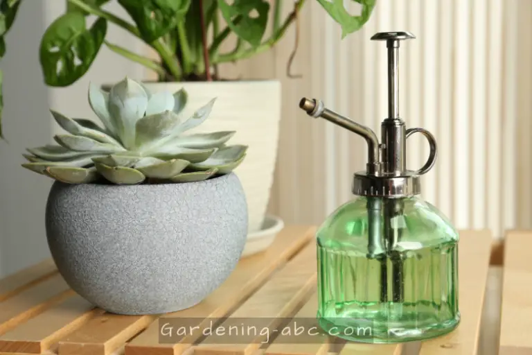 Elevate Your Plant Care In 2023 Introducing The Top 5 Plant Misters