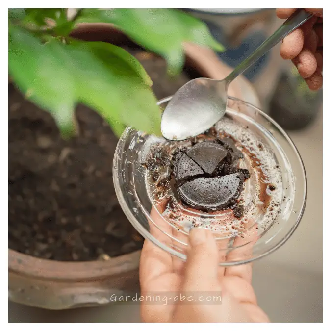 can coffee grounds acidify the soil