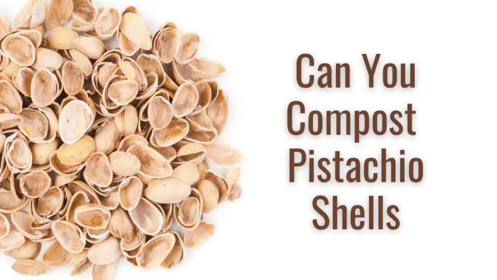 Are Pistachio Shells Compostable? Can I Add Them To The Compost Pile?