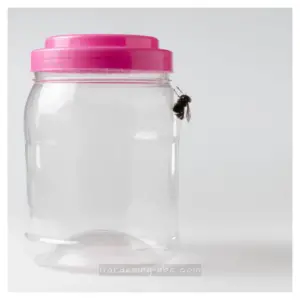 Homemade Fly Trap - 3 Simple Ideas You Can Make At Home