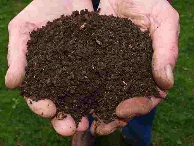 mix microbes into compost