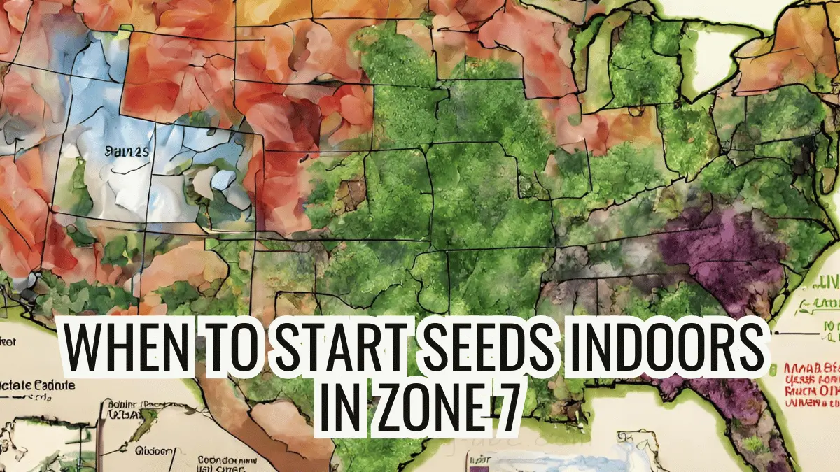 When to Start Seeds Indoors in Zone 7