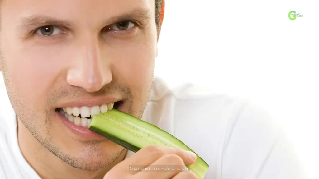 Reasons Why Your Cucumbers Taste Bitter Do This To Fix It