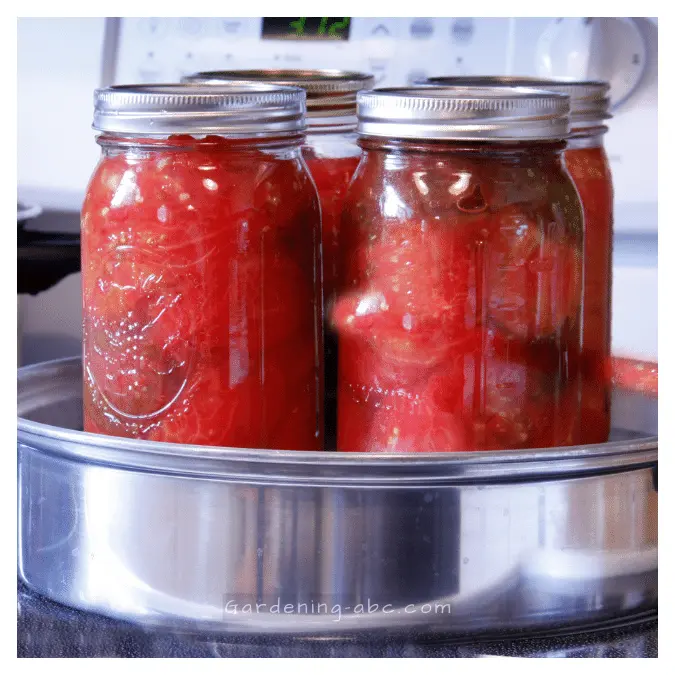 can fermenting remove remove lectins in  tomatoes