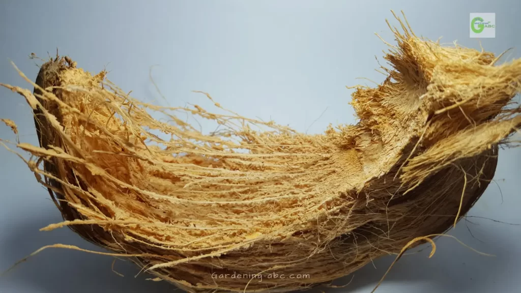 how to prepare coco coir from coconut