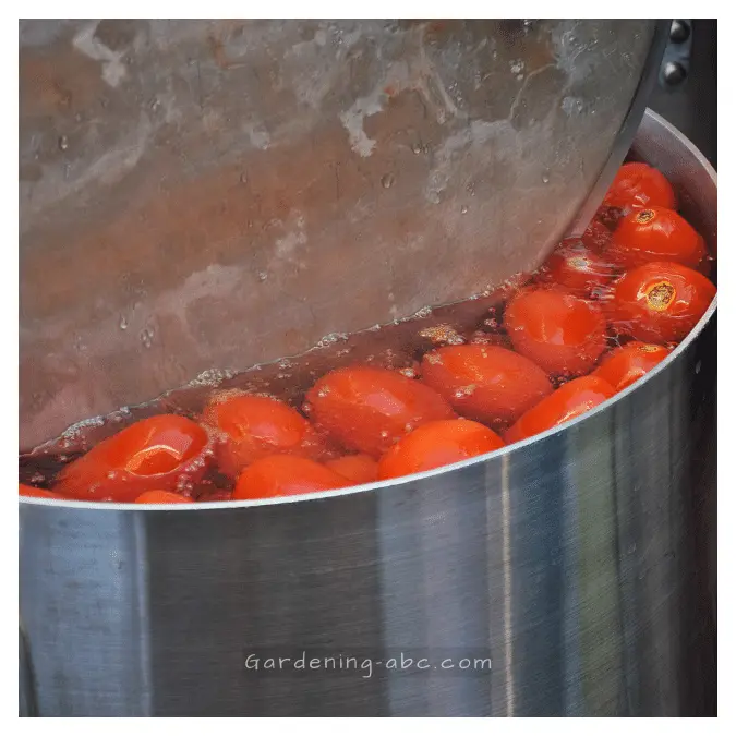 can soaking tomatoes will remove lectins