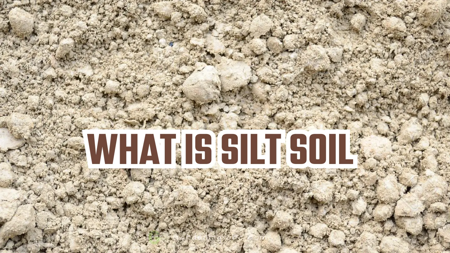 what is silt soil