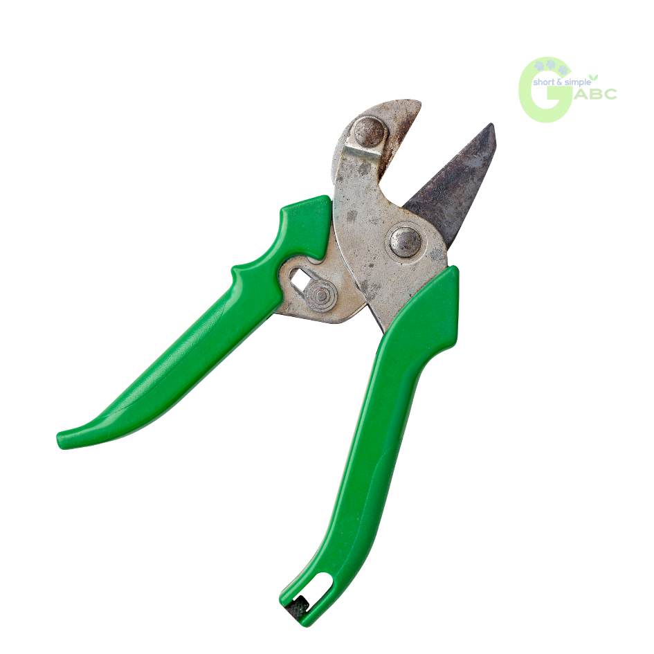 pruning shears as gardening tools