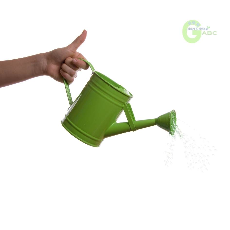 watering can s are essential garden tool