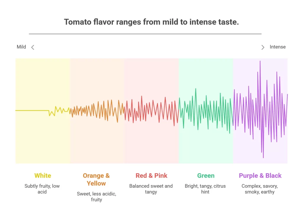 mild to intense tomato flavor