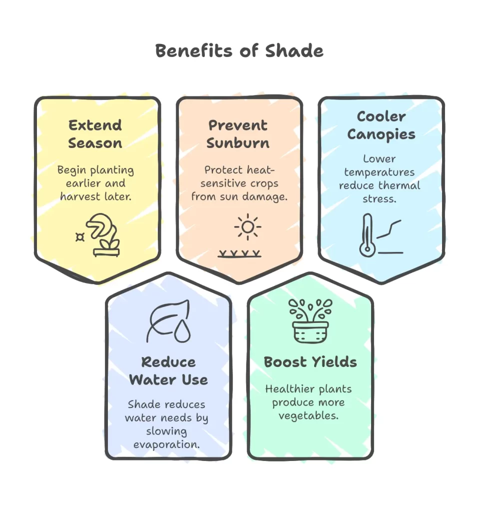 benefits of shade in gardening